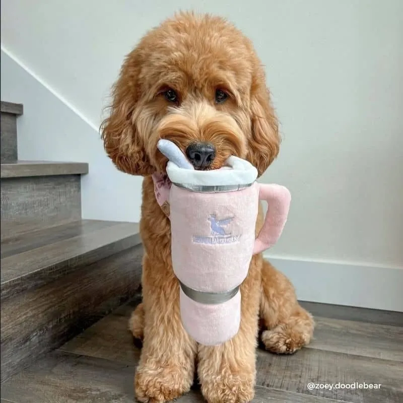 PELUCHE POUR CHIEN - GOURDE SNUGGLY CUP