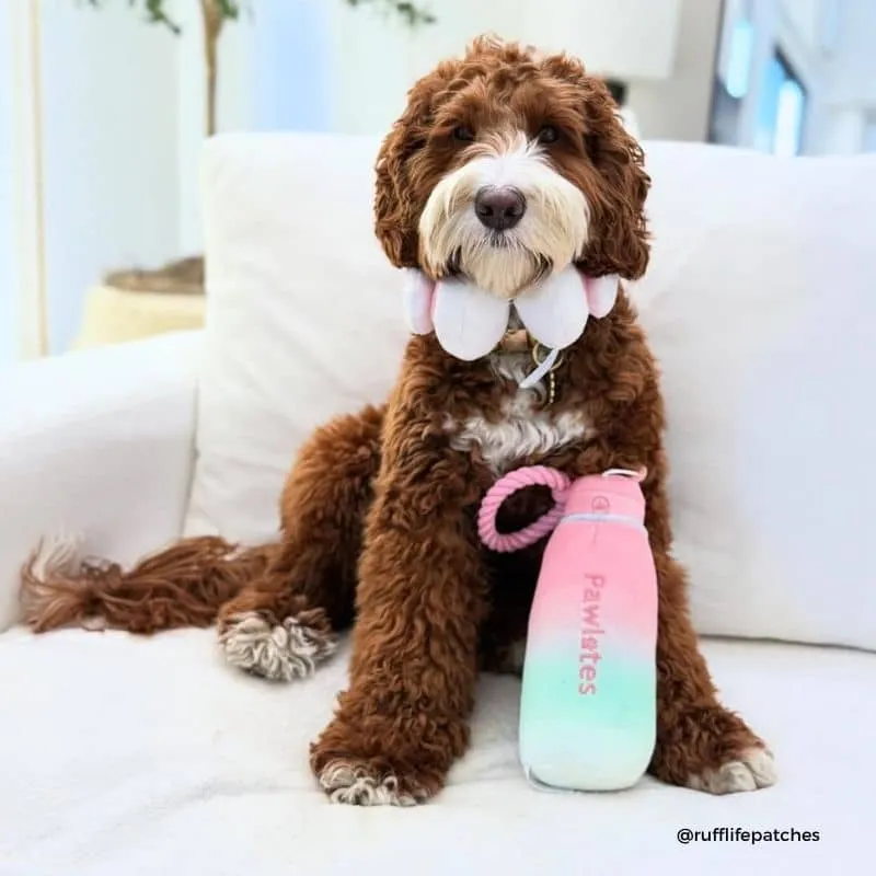 PELUCHE POUR CHIEN - GOURDE PAWLATES PRINCESS