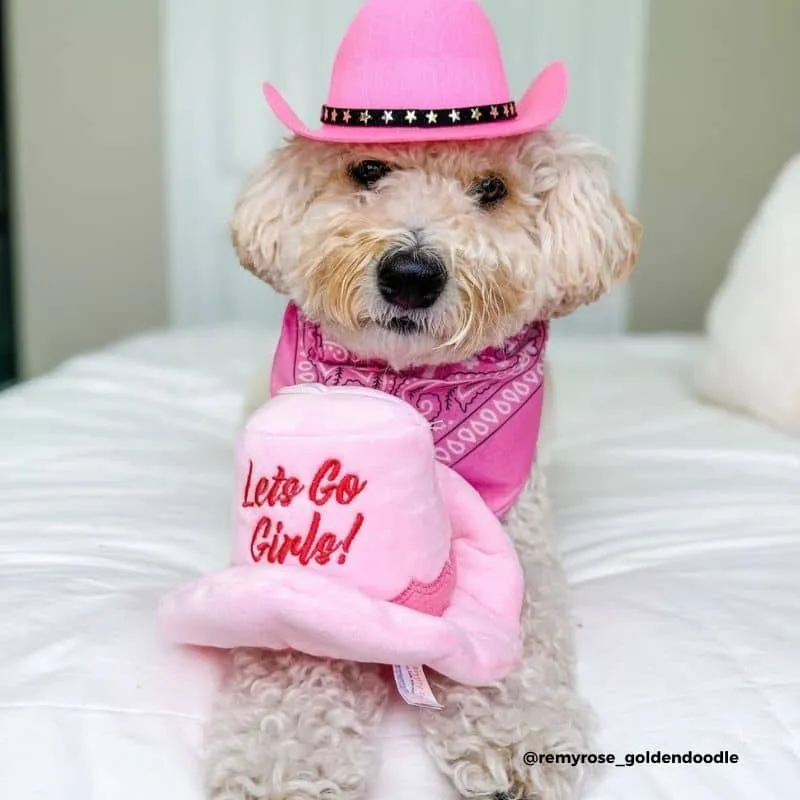 PELUCHE POUR CHIEN - CHAPEAU DE COWBOY ROSE