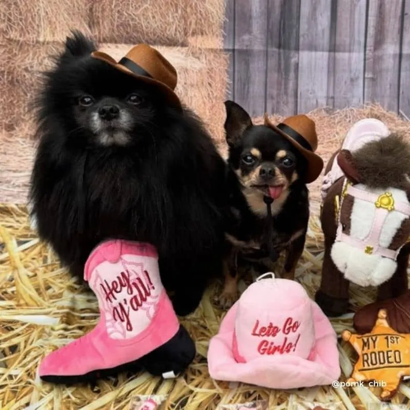 PELUCHE POUR CHIEN - CHAPEAU DE COWBOY ROSE