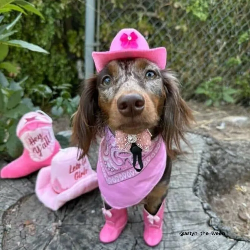 PELUCHE POUR CHIEN - CHAPEAU DE COWBOY ROSE