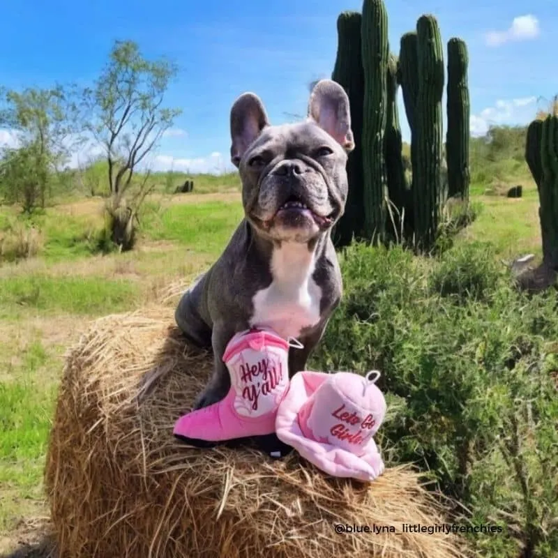 PELUCHE POUR CHIEN - CHAPEAU DE COWBOY ROSE