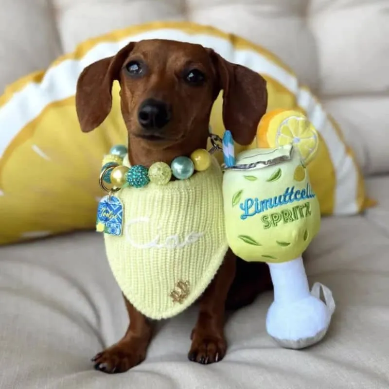 PELUCHE POUR CHIEN - LIMUTTCELLO SPRITZ 🍹