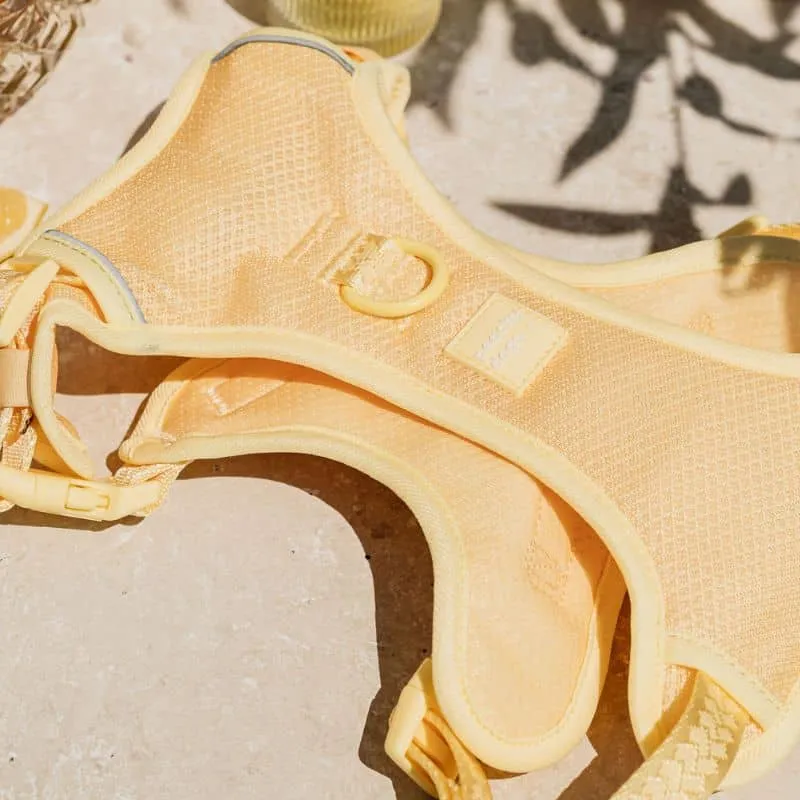 HARNAIS AVEC POIGNÉE POUR CHIEN - JAUNE LIMONCELLO 🍋