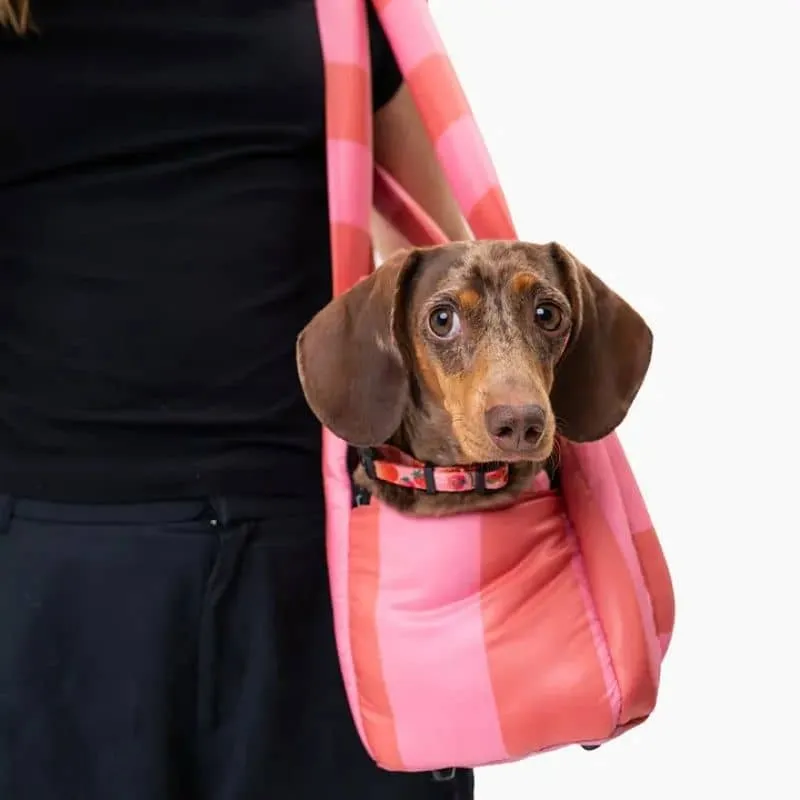 SAC DE TRANSPORT POUR CHIEN (< 6KG) - THE WORLD IS COLORFUL OU BEST WITH CREAM
