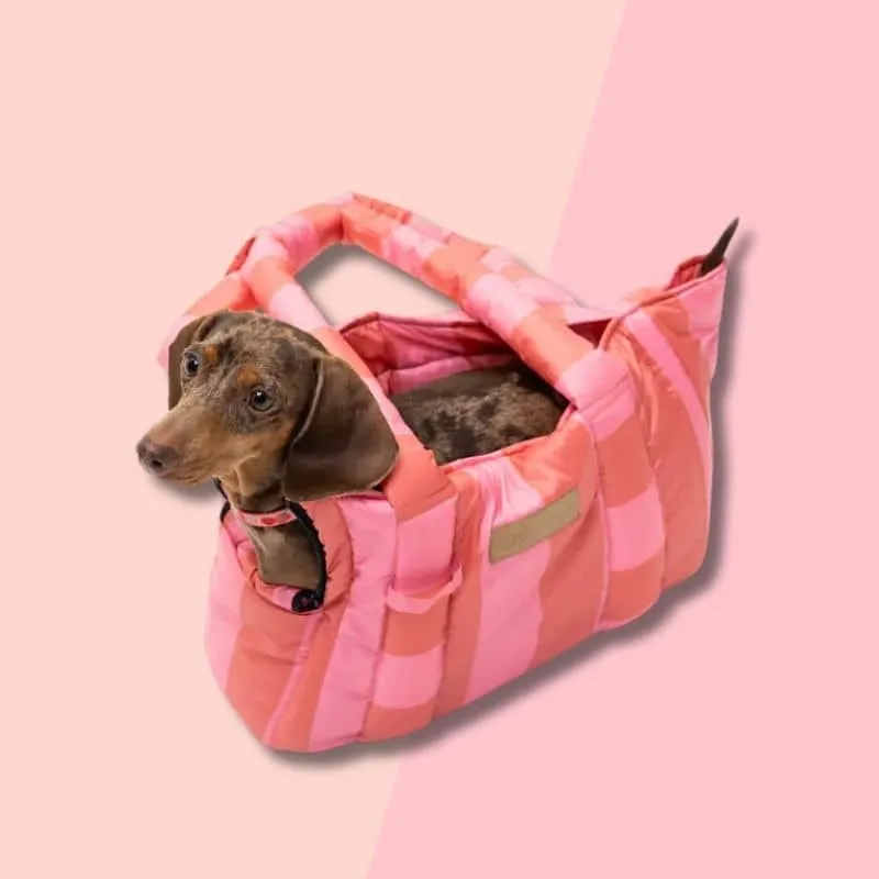 SAC DE TRANSPORT POUR CHIEN (< 6KG) - THE WORLD IS COLORFUL OU BEST WITH CREAM