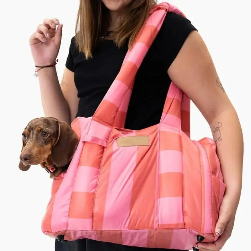 SAC DE TRANSPORT POUR CHIEN (< 6KG) - THE WORLD IS COLORFUL OU BEST WITH CREAM