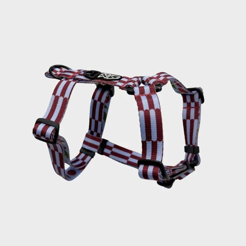 HARNAIS POUR CHIEN FAIT EN EUROPE 🇪🇺 - CHERRY LADY 🍒