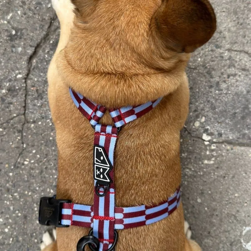 HARNAIS POUR CHIEN FAIT EN EUROPE 🇪🇺 - CHERRY LADY 🍒