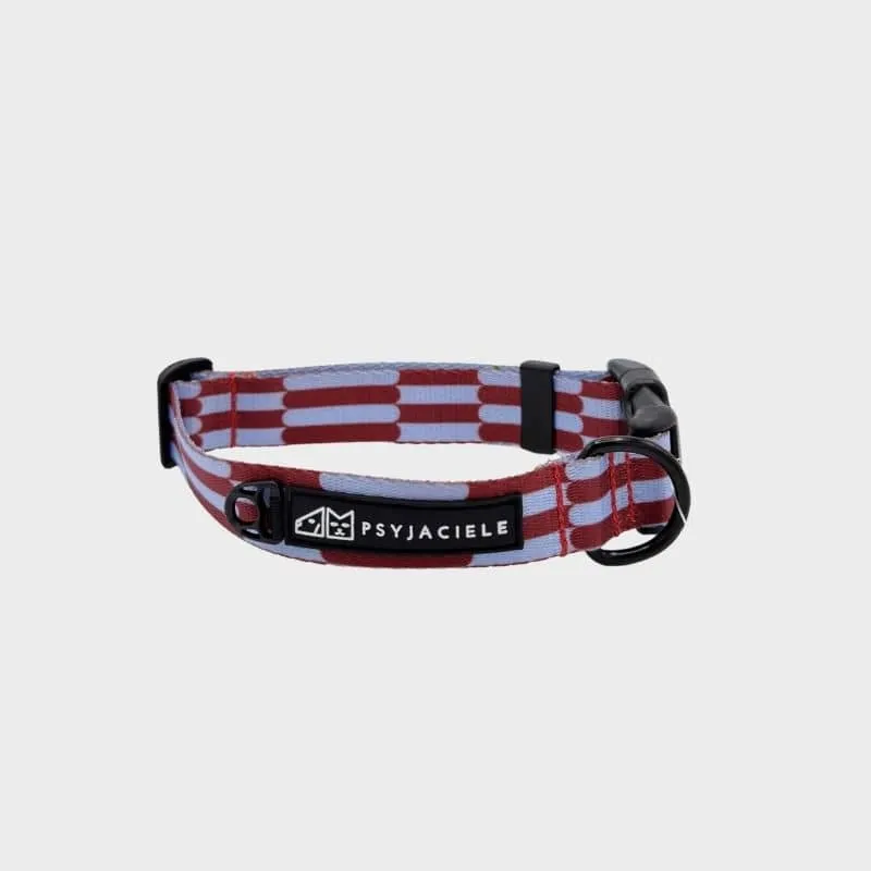 COLLIER POUR CHIEN FAIT EN EUROPE 🇪🇺 - CHERRY LADY 🍒