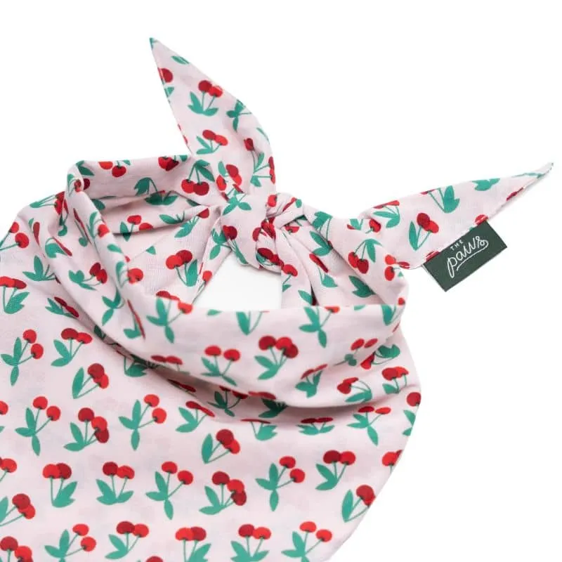 BANDANA POUR CHIEN - CERISE "CHERRY POP" 🍒