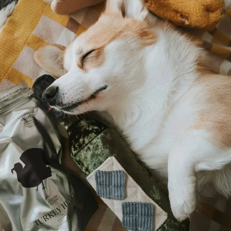 JEU D’OCCUPATION ET DE FOUILLE POUR CHIEN - BOUTEILLE DE VIN "MERLOT" 🍷