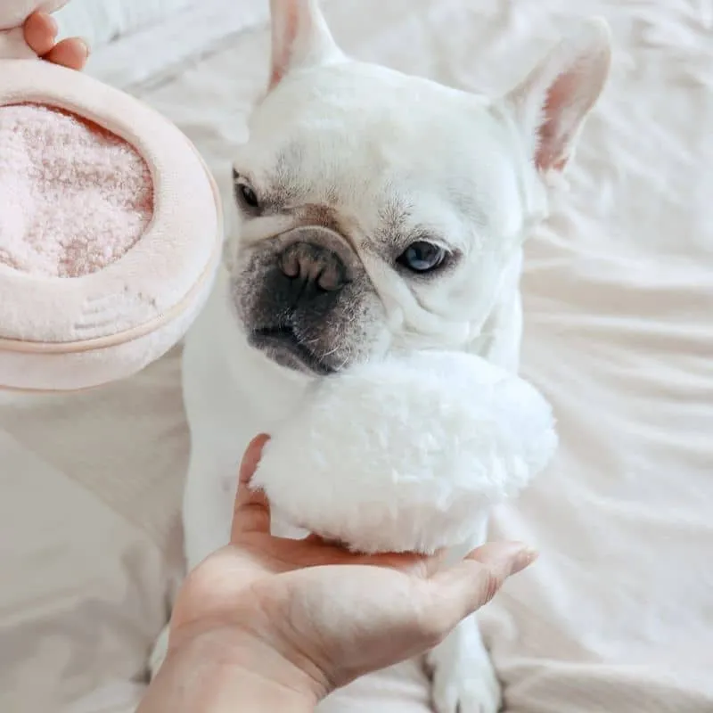 JEU D’OCCUPATION ET DE FOUILLE POUR CHIEN - BLUSH