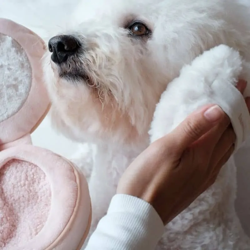 JEU D’OCCUPATION ET DE FOUILLE POUR CHIEN - BLUSH