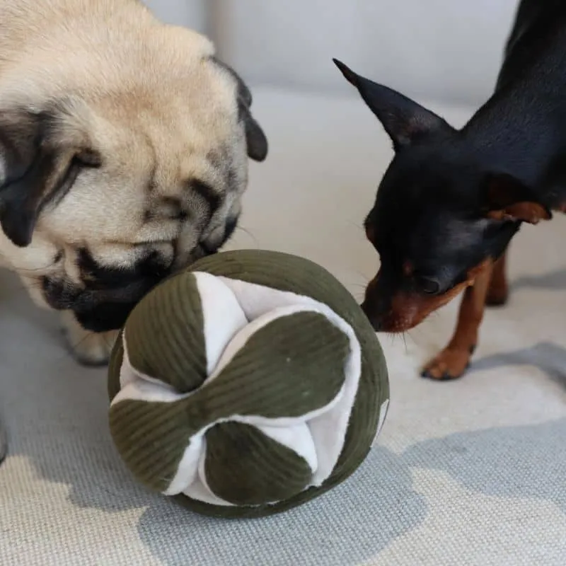 JEU D’OCCUPATION ET DE FOUILLE POUR CHIEN - "MONTI" KHAKI