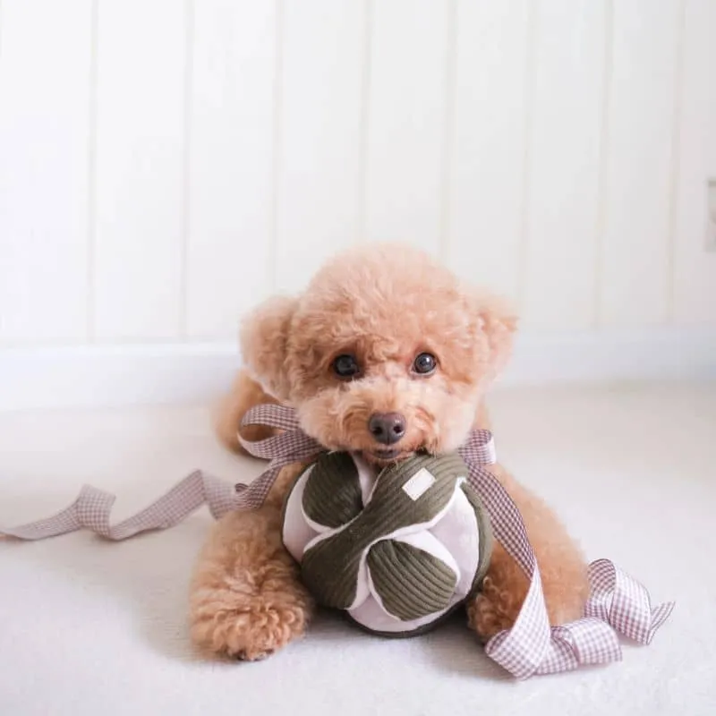 JEU D’OCCUPATION ET DE FOUILLE POUR CHIEN - "MONTI" KHAKI