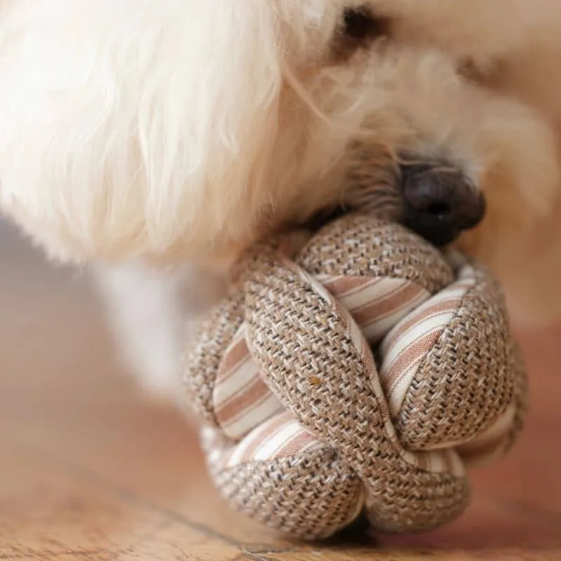 JEU D’OCCUPATION ET DE FOUILLE POUR CHIEN - "MONTI" MINI