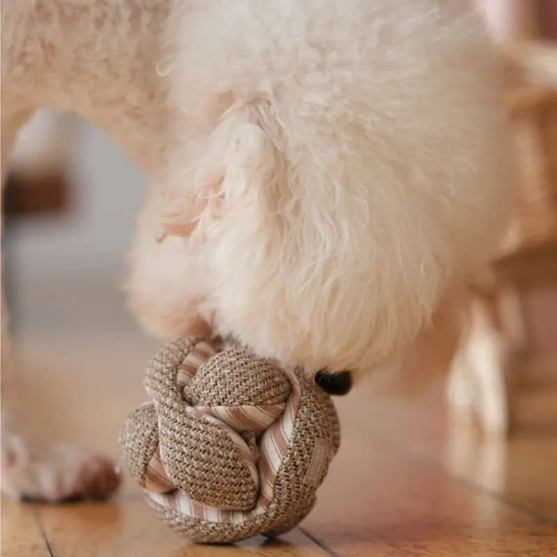 JEU D’OCCUPATION ET DE FOUILLE POUR CHIEN - "MONTI" MINI