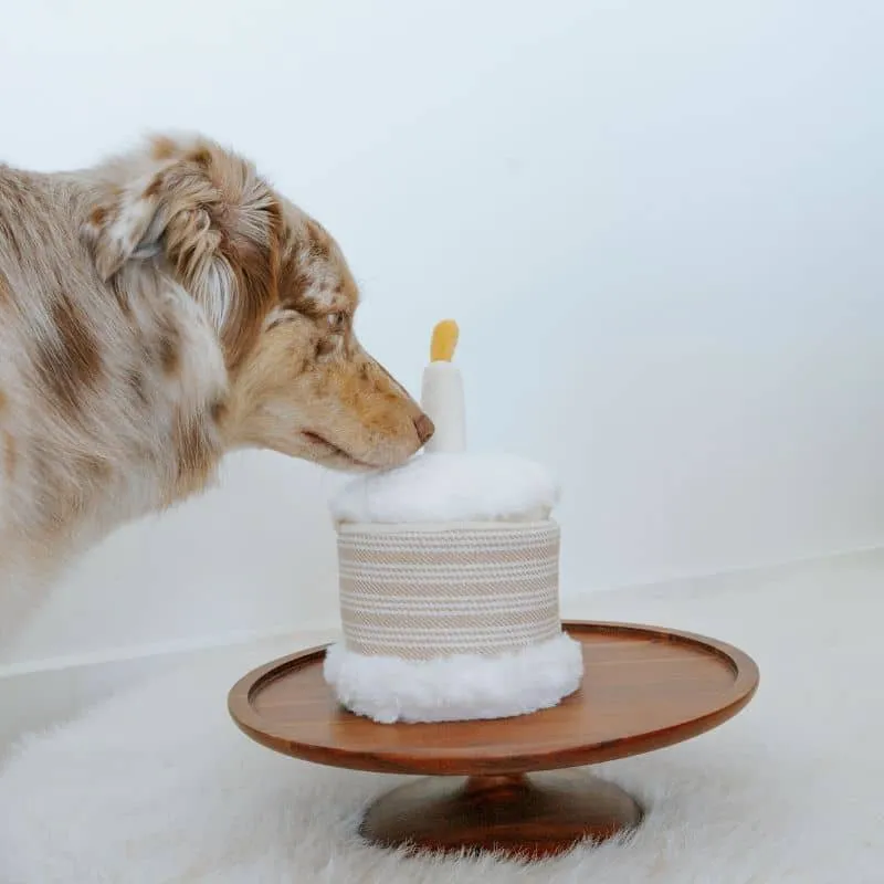 JEU D’OCCUPATION ET DE FOUILLE POUR CHIEN - GÂTEAU ANNIVERSAIRE 🎂