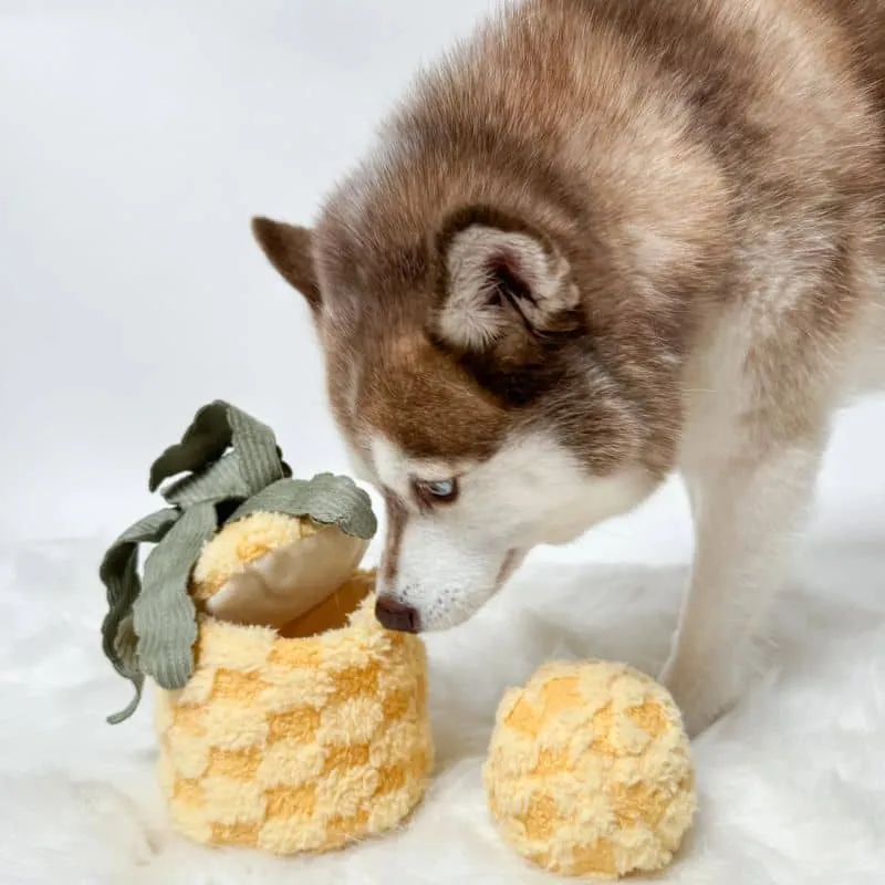 JEU D’OCCUPATION ET DE FOUILLE POUR CHIEN - ANANAS 🍍