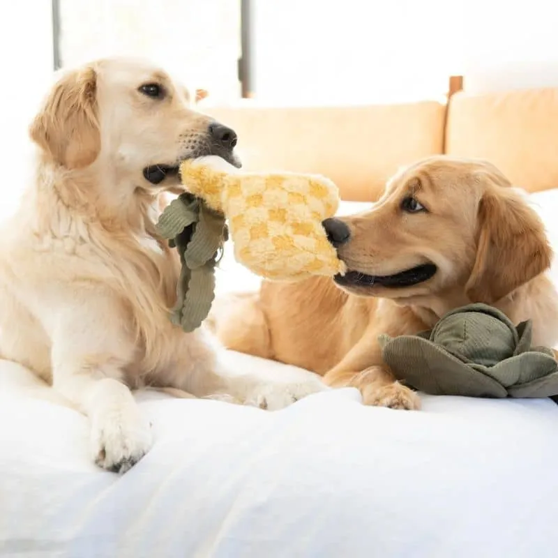 JEU D’OCCUPATION ET DE FOUILLE POUR CHIEN - ANANAS 🍍