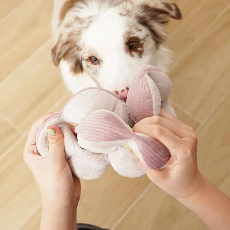 JEU D’OCCUPATION ET DE FOUILLE POUR CHIEN - "MONTI" SILENCIEUX