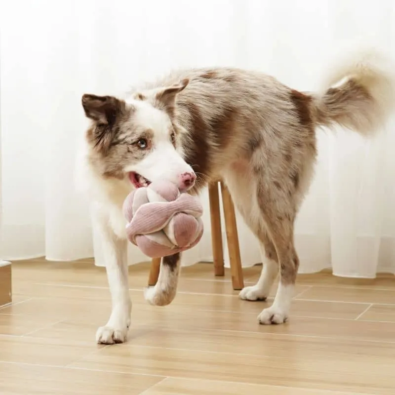 JEU D’OCCUPATION ET DE FOUILLE POUR CHIEN - "MONTI" SILENCIEUX