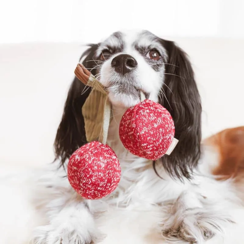 JEU D’OCCUPATION ET DE FOUILLE POUR CHIEN - BALLE CERISE "CHERRY POP" 🍒