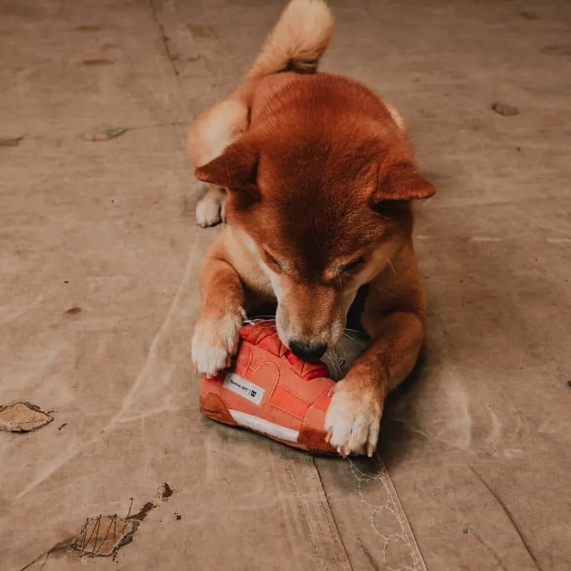 PELUCHE POUR CHIEN - REEBOK WORKOUT SNEAKER