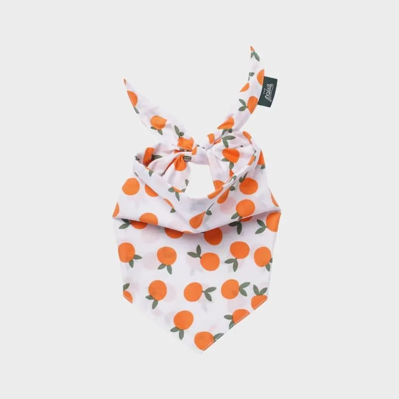 BANDANA POUR CHIEN - CLÉMENTINE 🍊