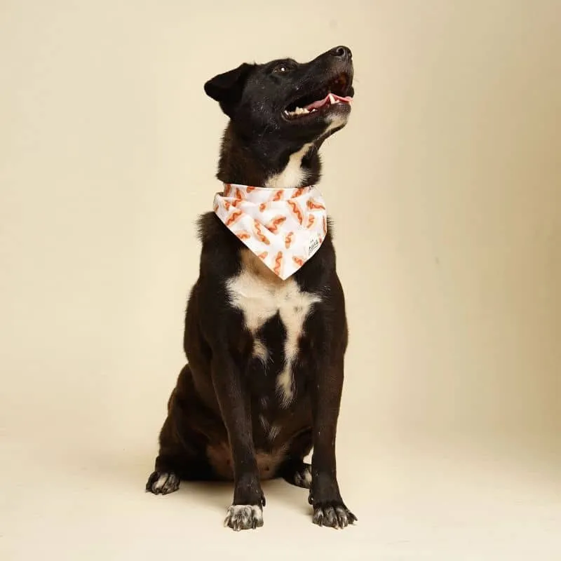 BANDANA POUR CHIEN - HOTDOG 🌭