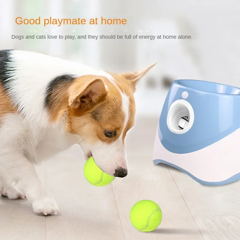 Lanceur de Balle de Tennis Chien Capteur de Mouvement Rechargeable