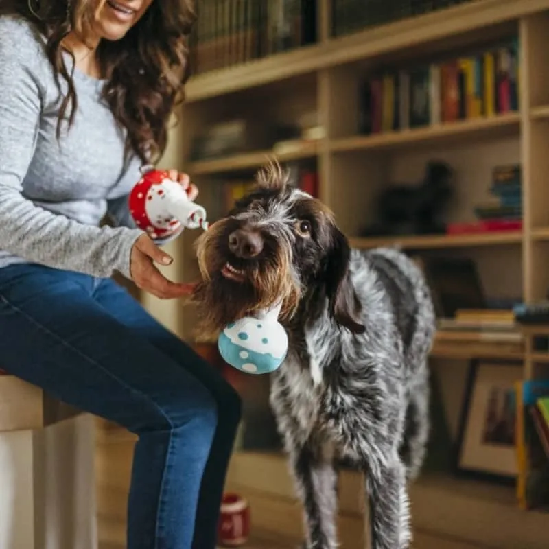 PELUCHE POUR CHIEN - FIOLES DE CHIMISTE 🧪 🌡