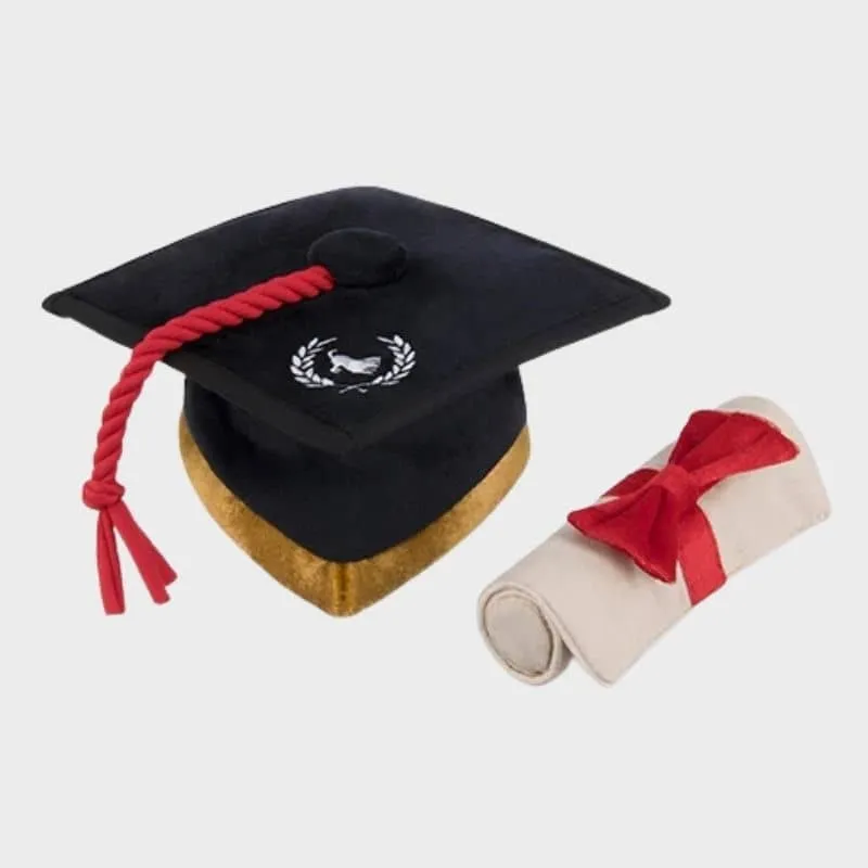 PELUCHE POUR CHIEN - TOQUE ET DIPLÔME 🎓