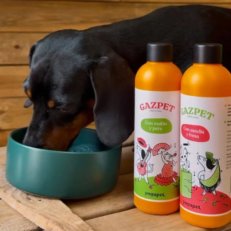 GASPACHO POUR CHIEN OU CHAT - GAZPET MELON ET POIRE 🍐