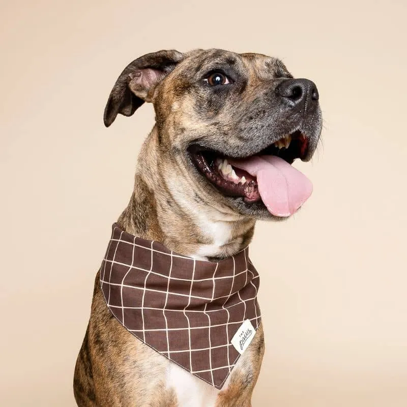 BANDANA POUR CHIEN - CARREAUX STRATFORD