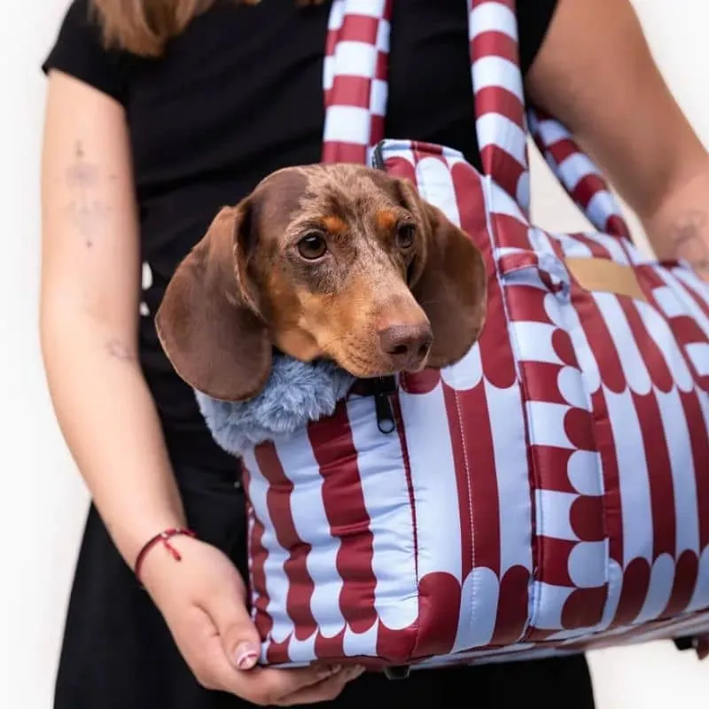 SAC DE TRANSPORT POUR CHIEN AVEC FOURRURE AMOVIBLE (< 6KG) - CHERRY LADY 🍒