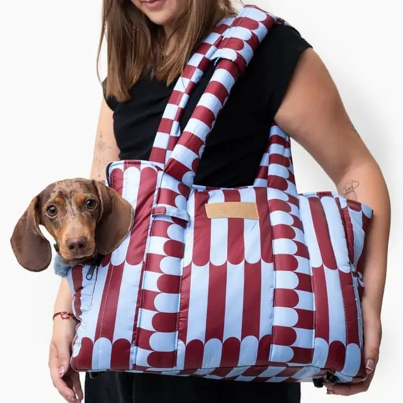 SAC DE TRANSPORT POUR CHIEN AVEC FOURRURE AMOVIBLE (< 6KG) - CHERRY LADY 🍒