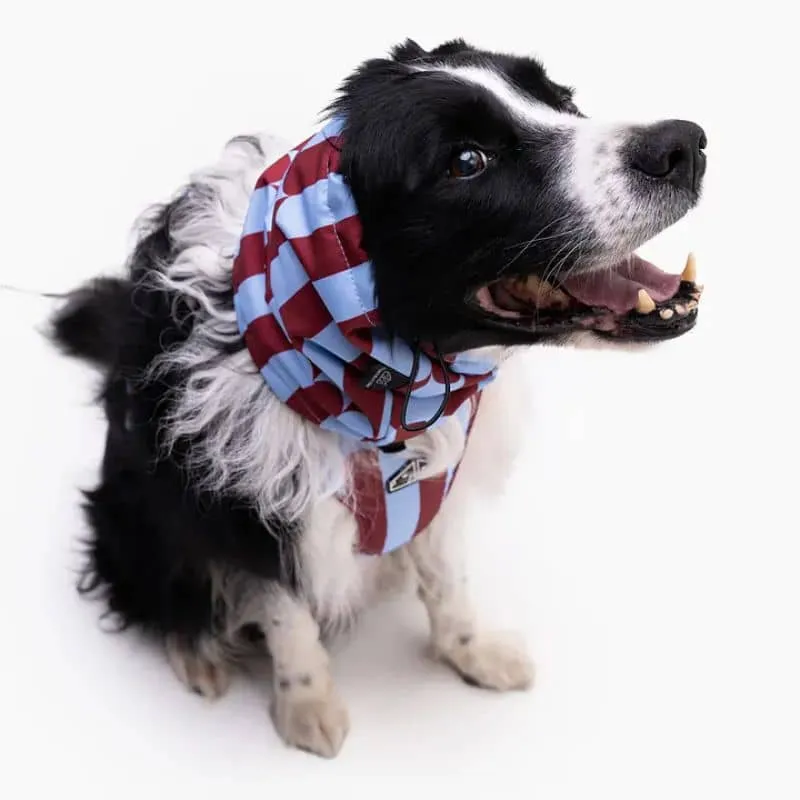 SNOOD HIVER WATERPROOF ET FOURRÉ POLAIRE POUR CHIEN - CHERRY LADY 🍒