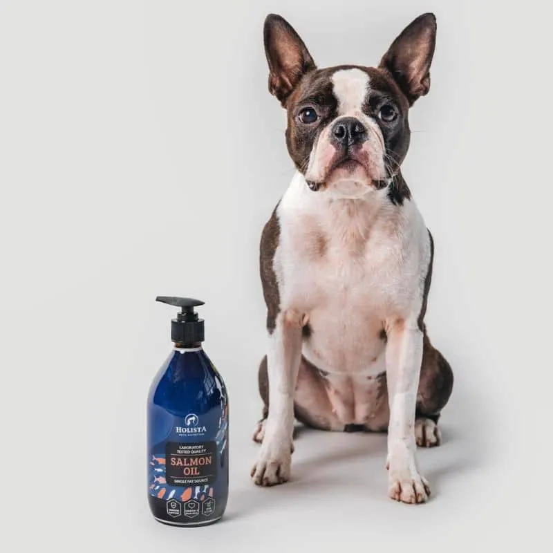 HUILE DE SAUMON POUR CHIEN ET CHAT