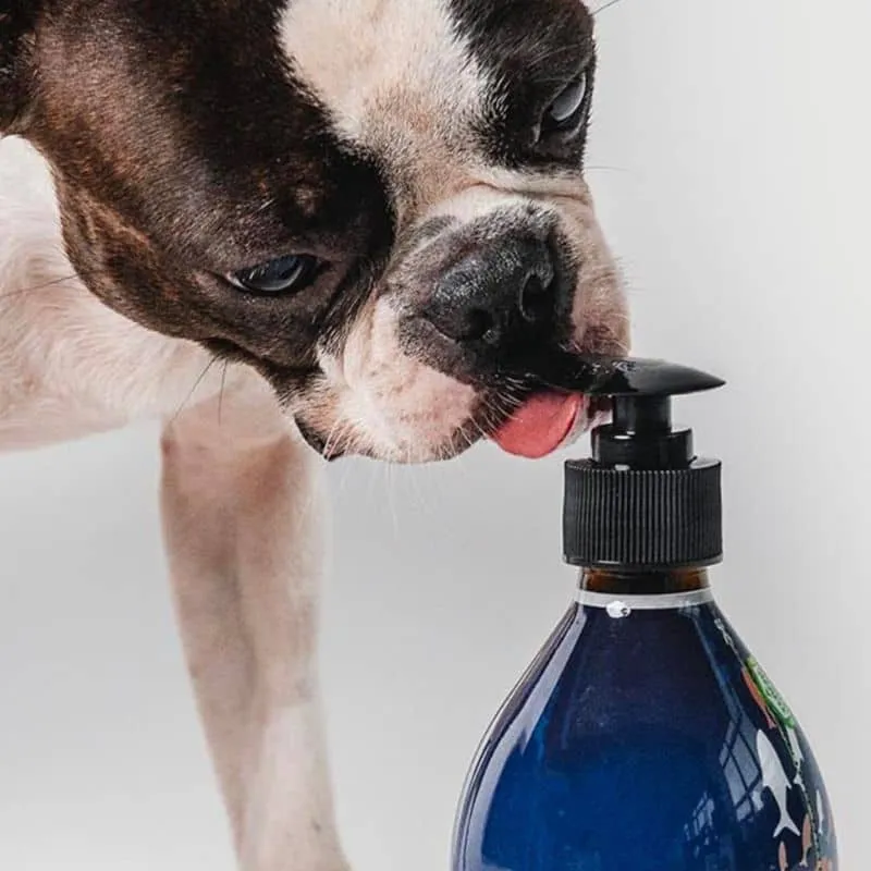 HUILE DE SAUMON POUR CHIEN ET CHAT