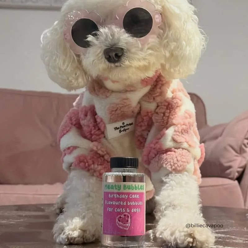 BULLES AROMATISÉES ANNIVERSAIRE POUR CHIEN ET CHAT - MEATY BUBBLES BIRTHDAY CAKE 🎂🫧