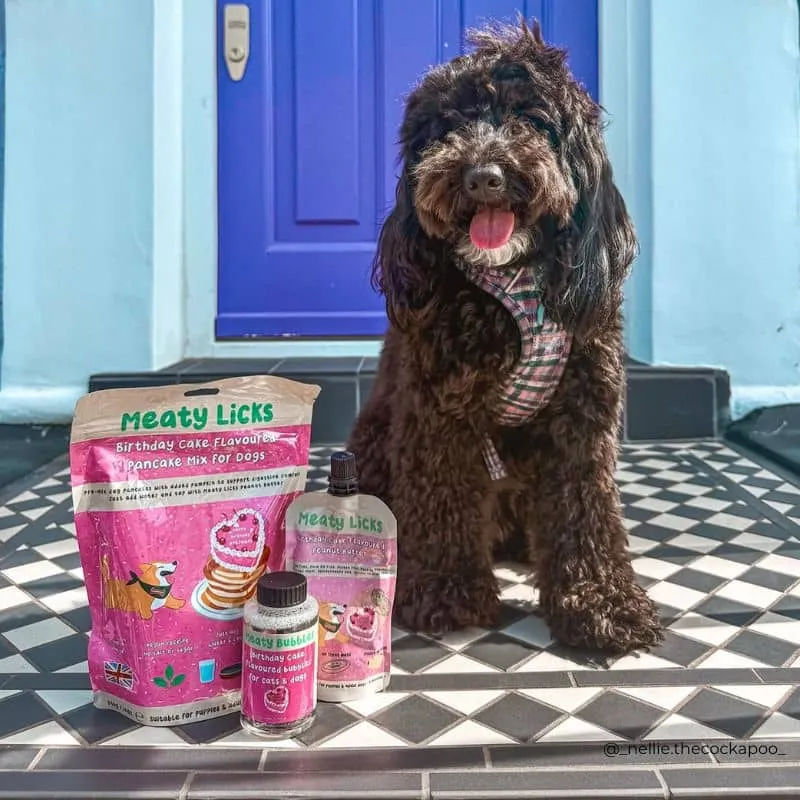 BULLES AROMATISÉES ANNIVERSAIRE POUR CHIEN ET CHAT - MEATY BUBBLES BIRTHDAY CAKE 🎂🫧