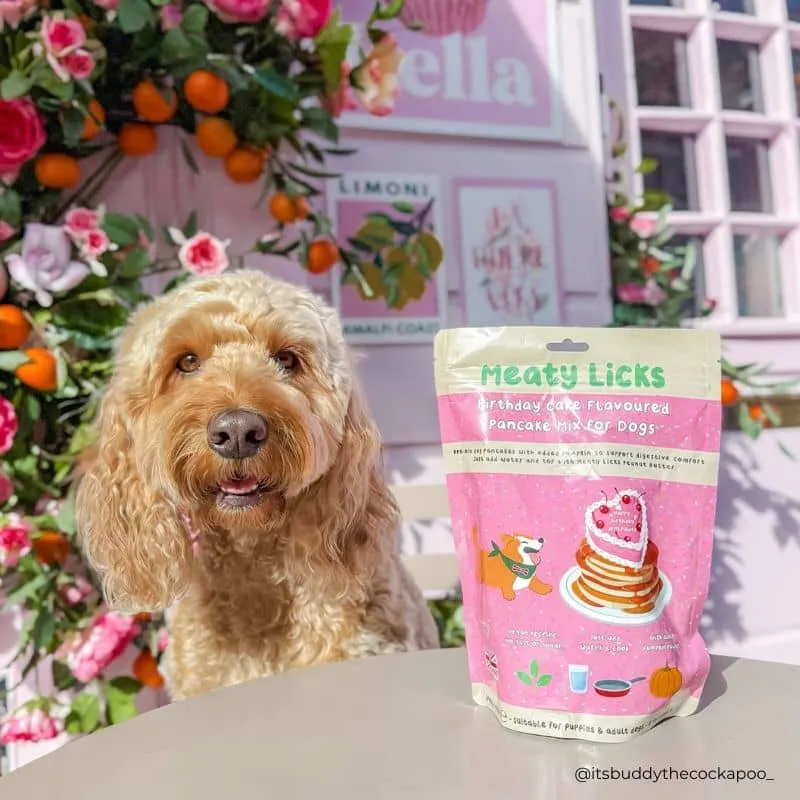 PRÉPARATION POUR PANCAKES ANNIVERSAIRE POUR CHIEN - MEATY LICKS BIRTHDAY CAKE 🎂