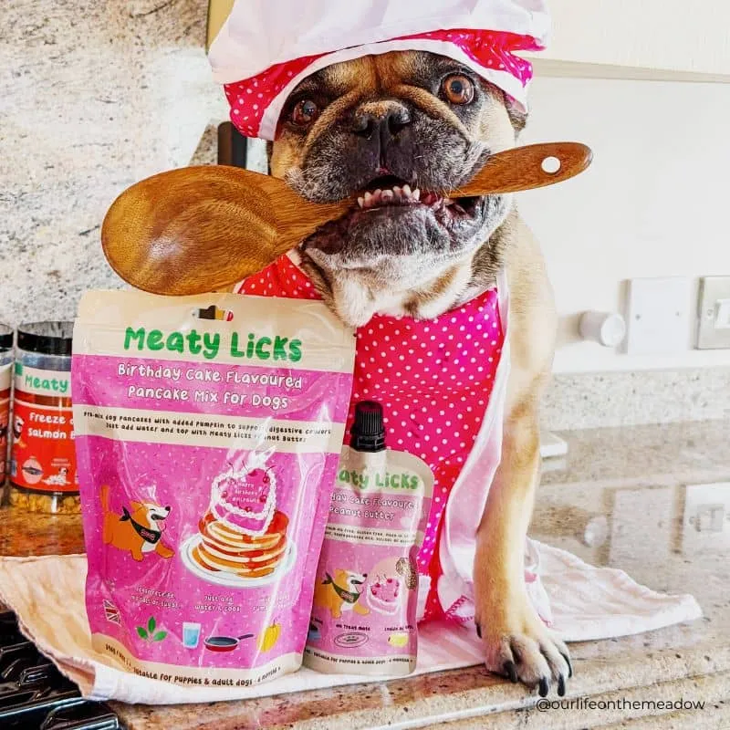 PRÉPARATION POUR PANCAKES ANNIVERSAIRE POUR CHIEN - MEATY LICKS BIRTHDAY CAKE 🎂