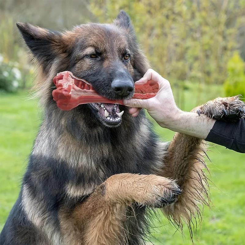 Jouet Indestructible Os Réaliste à Mâcher Goût Bœuf 15 cm
