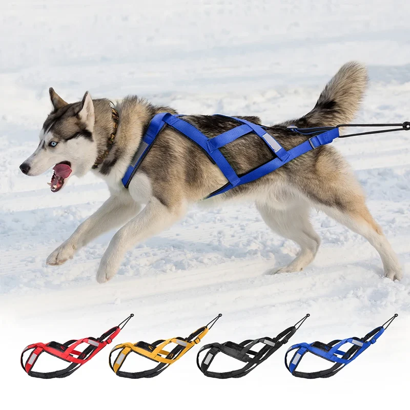 Harnais de Traction Canicross Réfléchissant Husky et Grand Chien