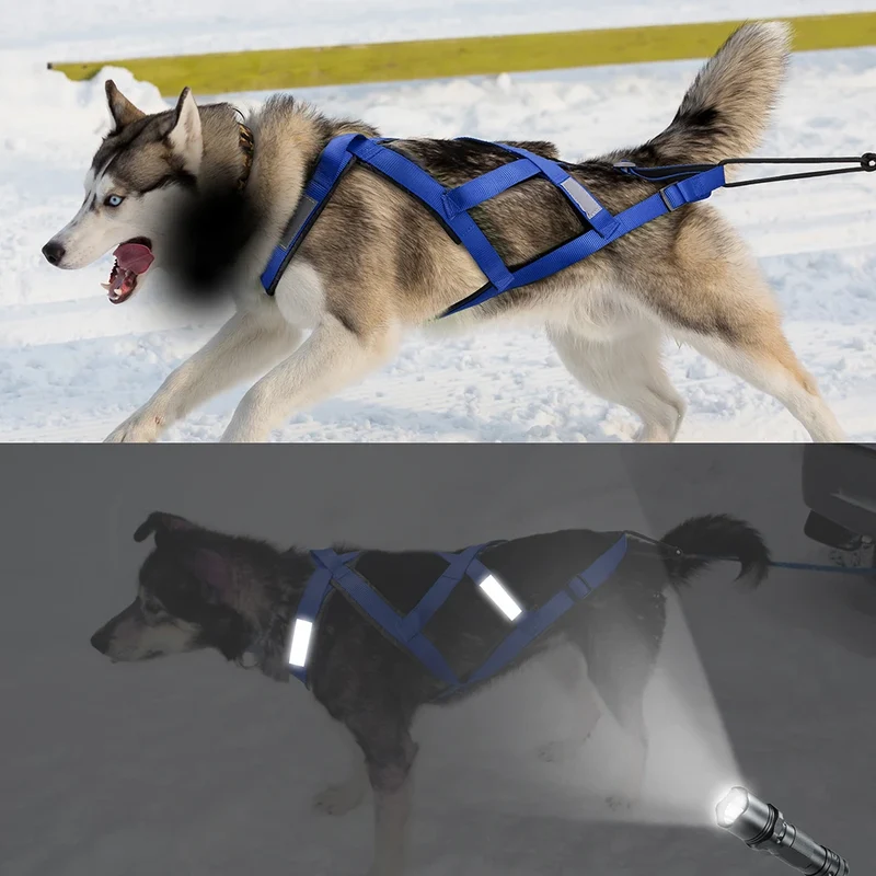 Harnais de Traction Canicross Réfléchissant Husky et Grand Chien