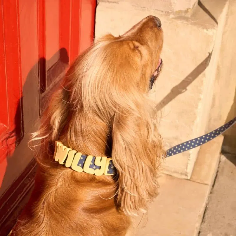COLLIER POUR CHIEN WATERPROOF - BLEU POIS JAUNE (PERSONNALISABLE AVEC DES CHARMS)
