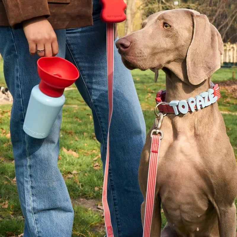 GOURDE PORTABLE POUR CHIEN AVEC DISTRIBUTEUR D'EAU RÉTRACTABLE - 590ML * ÉDITION LIMITÉE BICOLORE BLEU & ROUGE